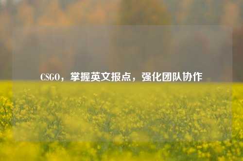 CSGO，掌握英文报点，强化团队协作
