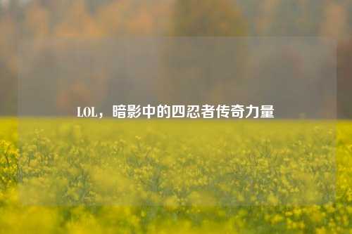 LOL，暗影中的四忍者传奇力量