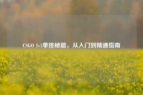 CSGO 1v1单挑秘籍，从入门到精通指南