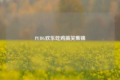 PUBG欢乐吃鸡搞笑集锦