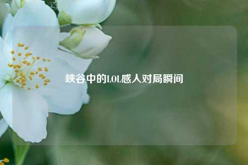 峡谷中的LOL感人对局瞬间