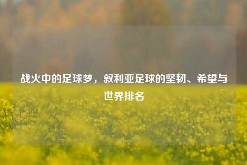 战火中的足球梦,叙利亚足球的坚韧、希望与世界排名