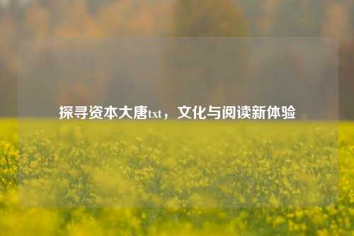 探寻资本大唐txt,文化与阅读新体验