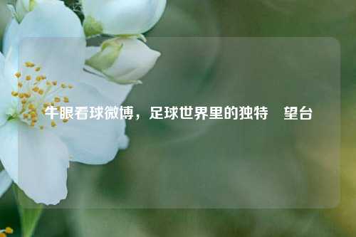 牛眼看球微博,足球世界里的独特瞭望台