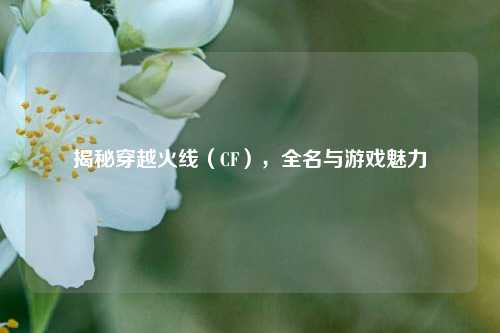 揭秘穿越火线(CF),全名与游戏魅力