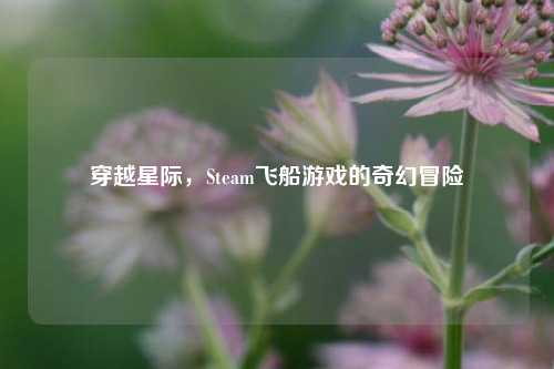 穿越星际,Steam飞船游戏的奇幻冒险