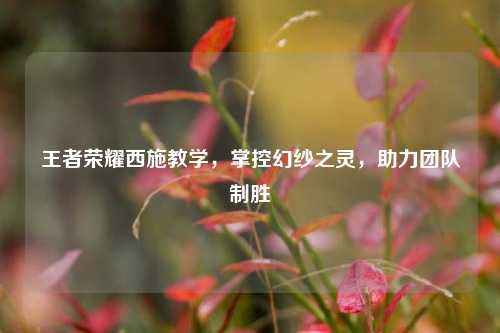 王者荣耀西施教学，掌控幻纱之灵，助力团队制胜