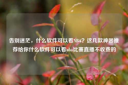 告别迷茫，什么软件可以看NBA？这几款神器推荐给你什么软件可以看nba比赛直播不收费的