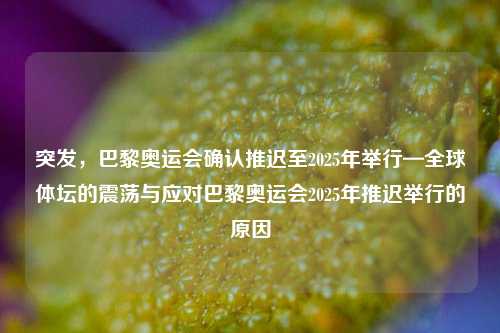 突发，巴黎奥运会确认推迟至2025年举行—全球体坛的震荡与应对巴黎奥运会2025年推迟举行的原因