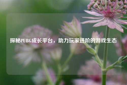 探秘PUBG成长平台,助力玩家进阶的游戏生态