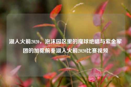 湖人火箭2020，泡沫园区里的魔球绝唱与紫金军团的加冕前奏湖人火箭2020比赛视频