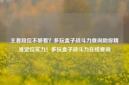 王者段位不够看？多玩盒子战斗力查询助你精准定位实力！多玩盒子战斗力在线查询