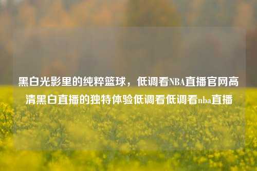 黑白光影里的纯粹篮球，低调看NBA直播官网高清黑白直播的独特体验低调看低调看nba直播