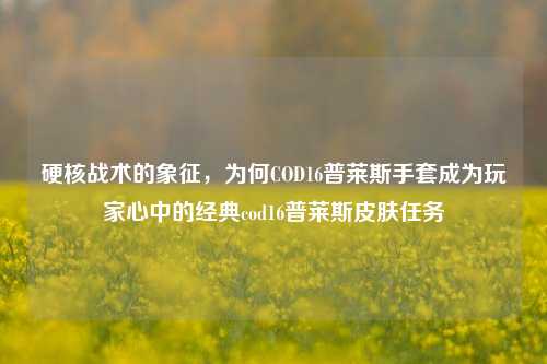 硬核战术的象征，为何COD16普莱斯手套成为玩家心中的经典cod16普莱斯皮肤任务