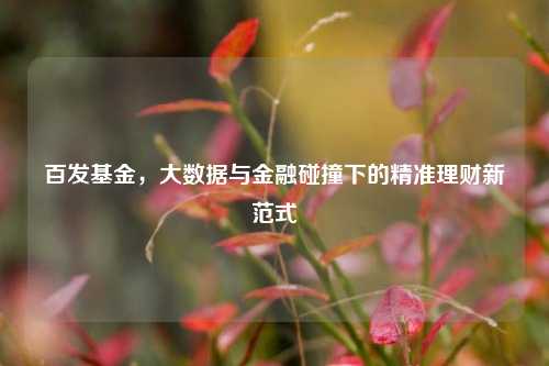 百发基金，大数据与金融碰撞下的精准理财新范式