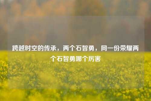 跨越时空的传承，两个石智勇，同一份荣耀两个石智勇哪个厉害
