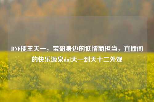 DNF梗王天一，宝哥身边的低情商担当，直播间的快乐源泉dnf天一到天十二外观