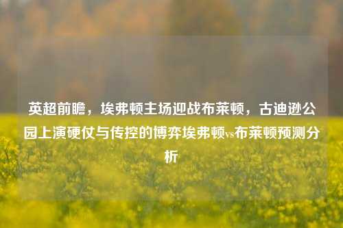 英超前瞻，埃弗顿主场迎战布莱顿，古迪逊公园上演硬仗与传控的博弈埃弗顿vs布莱顿预测分析