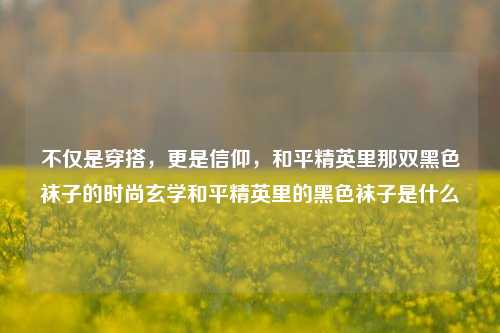 不仅是穿搭，更是信仰，和平精英里那双黑色袜子的时尚玄学和平精英里的黑色袜子是什么