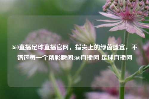 360直播足球直播官网，指尖上的绿茵盛宴，不错过每一个精彩瞬间360直播网 足球直播网