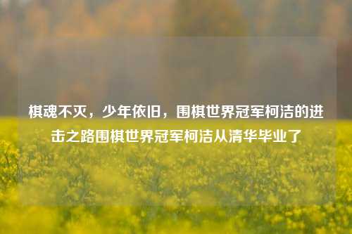 棋魂不灭，少年依旧，围棋世界冠军柯洁的进击之路围棋世界冠军柯洁从清华毕业了