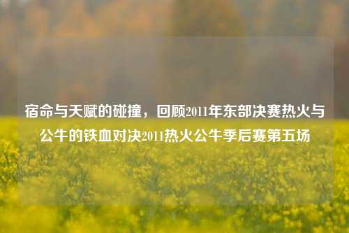 宿命与天赋的碰撞，回顾2011年东部决赛热火与公牛的铁血对决2011热火公牛季后赛第五场