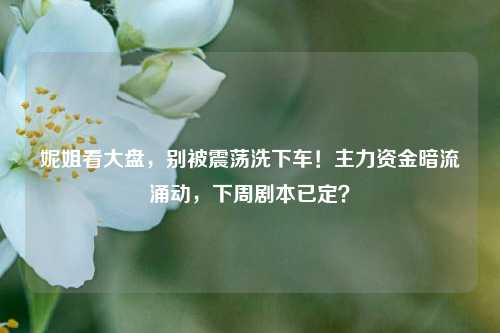 妮姐看大盘，别被震荡洗下车！主力资金暗流涌动，下周剧本已定？
