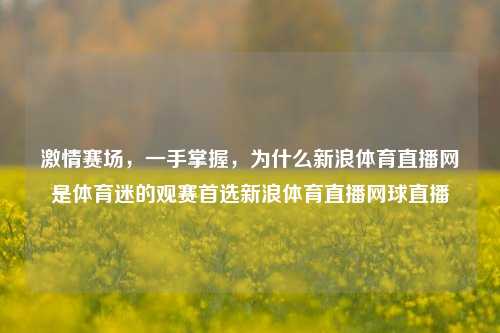 激情赛场，一手掌握，为什么新浪体育直播网是体育迷的观赛首选新浪体育直播网球直播