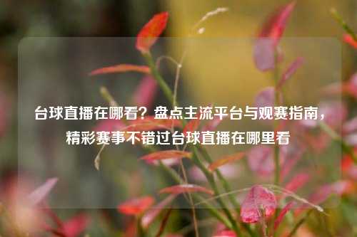 台球直播在哪看？盘点主流平台与观赛指南，精彩赛事不错过台球直播在哪里看