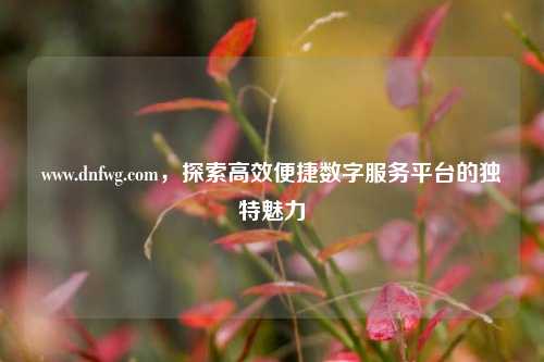 www.dnfwg.com，探索高效便捷数字服务平台的独特魅力