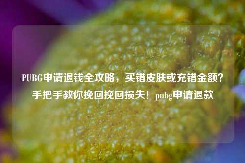 PUBG申请退钱全攻略，买错皮肤或充错金额？手把手教你挽回挽回损失！pubg申请退款