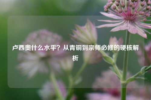 卢西奥什么水平？从青铜到宗师必修的硬核解析