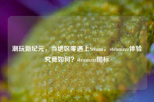 潮玩新纪元，当绝区零遇上Steam，steamzzz体验究竟如何？steamzzz图标