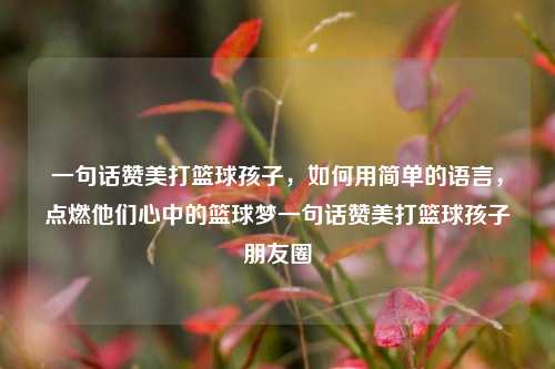 一句话赞美打篮球孩子，如何用简单的语言，点燃他们心中的篮球梦一句话赞美打篮球孩子朋友圈