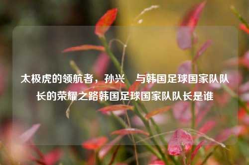 太极虎的领航者，孙兴慜与韩国足球国家队队长的荣耀之路韩国足球国家队队长是谁