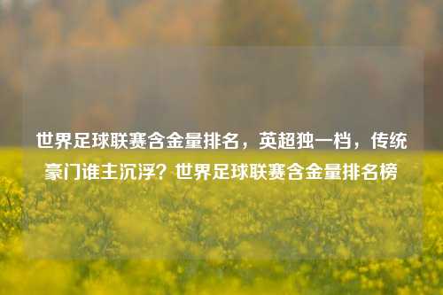 世界足球联赛含金量排名，英超独一档，传统豪门谁主沉浮？世界足球联赛含金量排名榜
