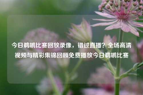 今日鹈鹕比赛回放录像，错过直播？全场高清视频与精彩集锦回顾免费播放今日鹈鹕比赛