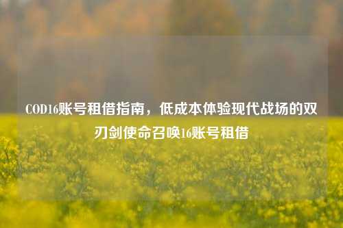 COD16账号租借指南，低成本体验现代战场的双刃剑使命召唤16账号租借