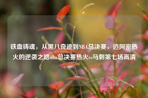 铁血铸魂，从黑八奇迹到NBA总决赛，迈阿密热火的逆袭之路nba总决赛热火vs马刺第七场高清