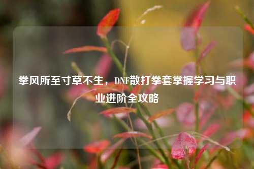 拳风所至寸草不生，DNF散打拳套掌握学习与职业进阶全攻略