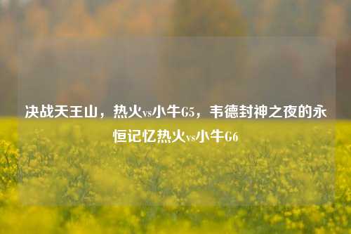 决战天王山，热火vs小牛G5，韦德封神之夜的永恒记忆热火vs小牛G6