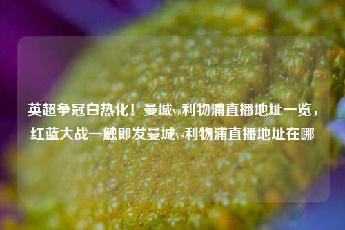 英超争冠白热化！曼城vs利物浦直播地址一览，红蓝大战一触即发曼城vs利物浦直播地址在哪