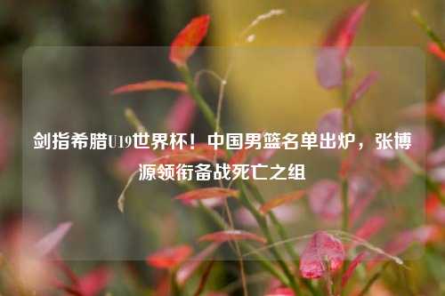 剑指希腊U19世界杯！中国男篮名单出炉，张博源领衔备战死亡之组