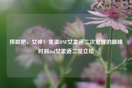 摔跤吧，女神！重温DNF女柔道二次觉醒的巅峰时刻dnf女柔道二觉立绘