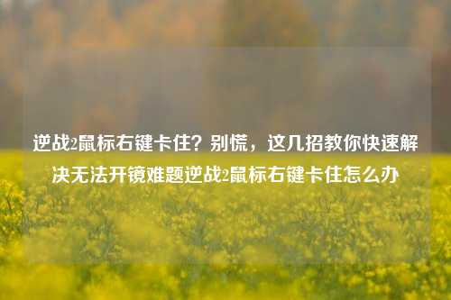 逆战2鼠标右键卡住？别慌，这几招教你快速解决无法开镜难题逆战2鼠标右键卡住怎么办
