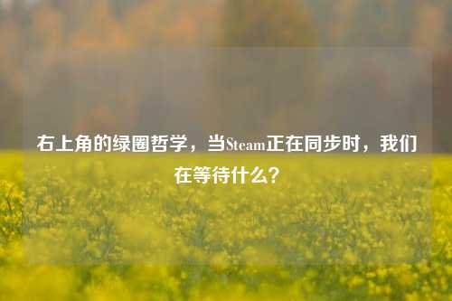 右上角的绿圈哲学，当Steam正在同步时，我们在等待什么？