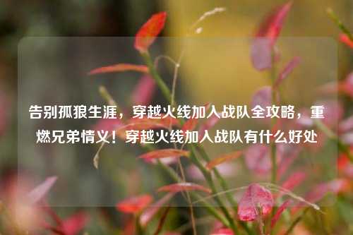 告别孤狼生涯，穿越火线加入战队全攻略，重燃兄弟情义！穿越火线加入战队有什么好处