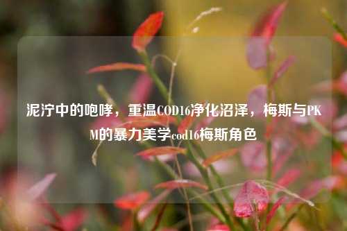 泥泞中的咆哮，重温COD16净化沼泽，梅斯与PKM的暴力美学cod16梅斯角色