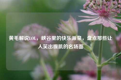 黄毛解说LOL，峡谷里的快乐源泉，盘点那些让人笑出腹肌的名场面
