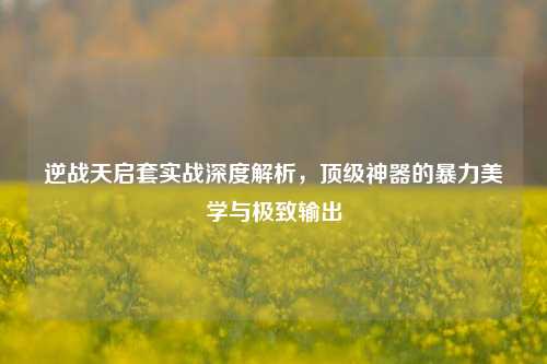 逆战天启套实战深度解析，顶级神器的暴力美学与极致输出